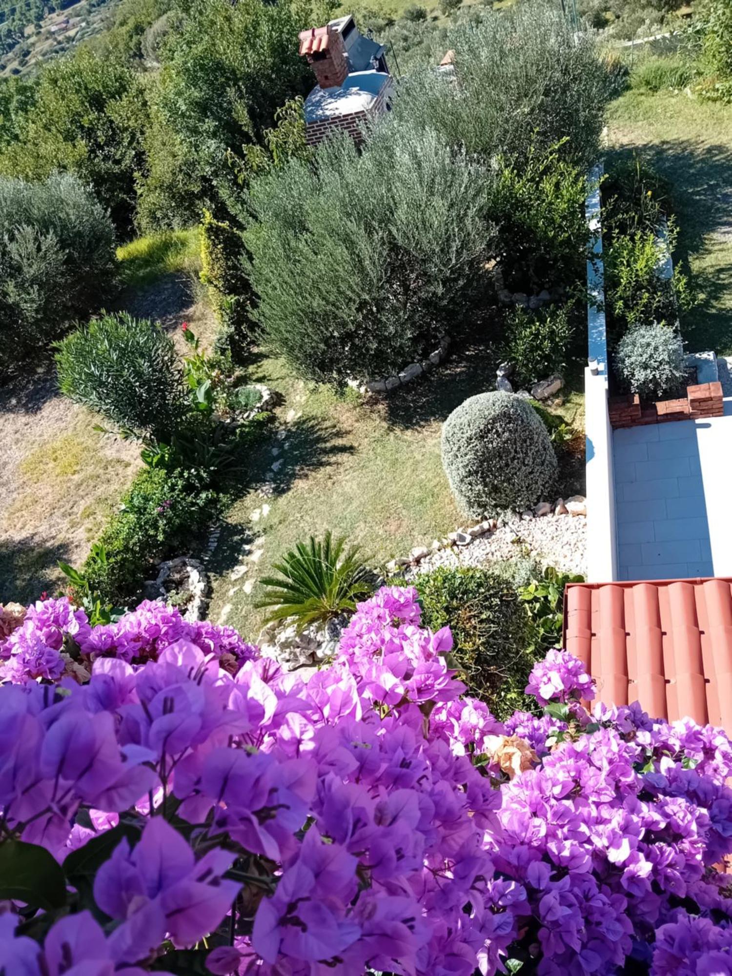 Apartments Panorama View Zeljko Scerbe Mundanije Εξωτερικό φωτογραφία